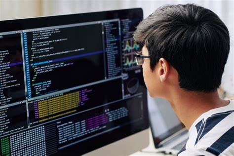PROGRAMMER